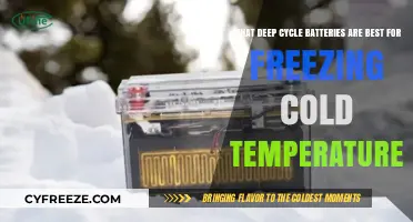 Best Deep Cycle Batteries for Extreme Cold Weather Performance