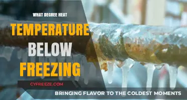 Understanding Below-Freezing Temperatures: Degrees and Their Impact Explained