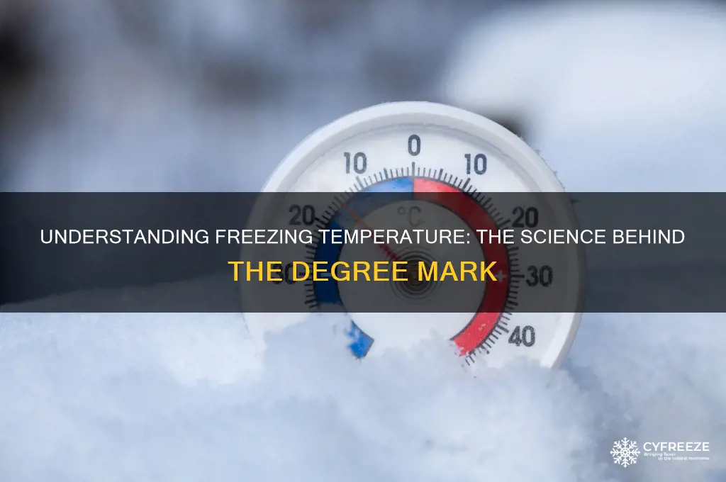 what degree is freezing temperature