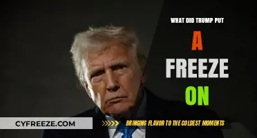 Trump's Freeze: A Comprehensive Look at the Policies Impacted