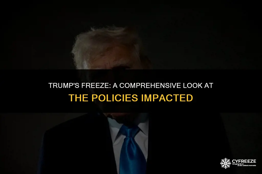 what did trump put a freeze on