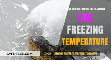 Ectotherm Survival Strategies: Beating Sub-Freezing Temperatures in the Wild