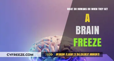 Brain Freeze: Unraveling the Human Response to Icy Headaches