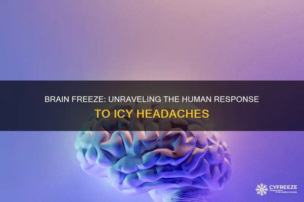 what do humans do when they get a brain freeze