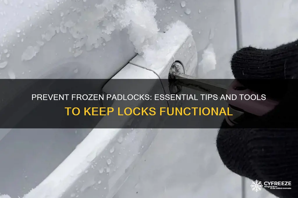 what do i use to prevent a padlock from freezing