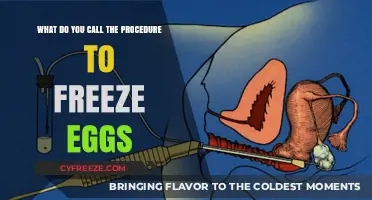 Egg Freezing 101: Preserving Your Future Fertility