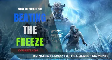 Conquering the Freeze: Unlocking Rewards for Beating the Challenge