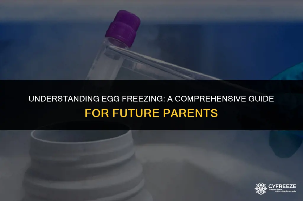 what do you mean by freezing eggs