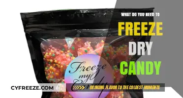Sweet Preservation: The Essential Guide to Freeze-Drying Candy