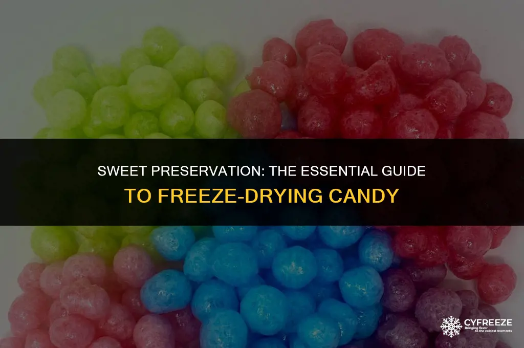 what do you need to freeze dry candy
