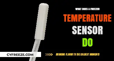 Understanding the Role of a Freezer Temperature Sensor in Food Preservation