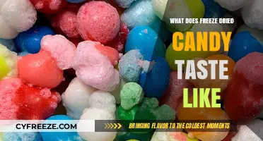 Exploring the Unique Flavor of Freeze-Dried Candy: A Taste Adventure