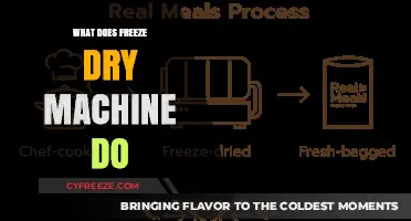 Exploring the Magic of Freeze Drying: Preserving Food for the Future