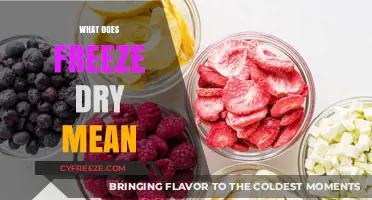 Exploring the Art of Freeze-Drying: Preserving Food for the Future