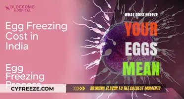 Understanding Egg Freezing: What Does 'Freeze Your Eggs' Mean?