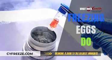 Understanding Egg Freezing: Benefits, Process, and What It Does for Fertility