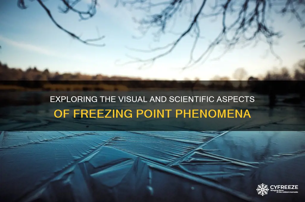 what does freezing point look like