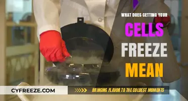 Understanding Cryopreservation: What Does Freezing Your Cells Really Mean?