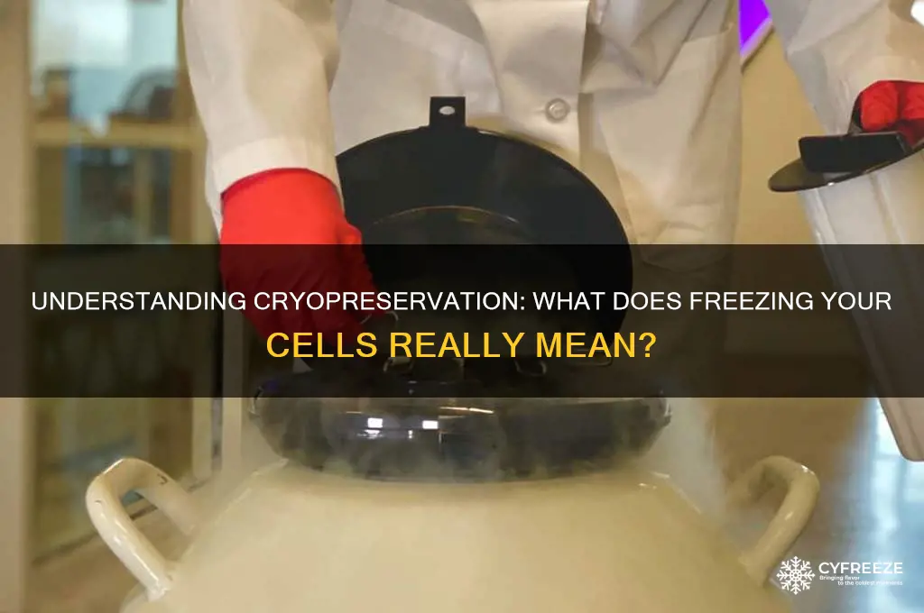 what does getting your cells freeze mean