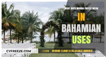 Understanding 'Mudda Freeze': A Deep Dive into Bahamian Slang and Culture