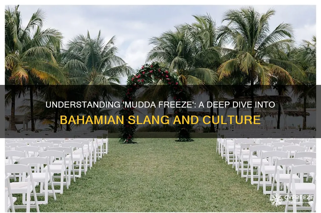what does mudda freeze mean in bahamian uses