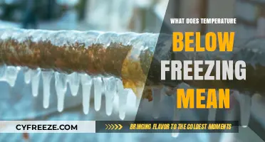 Understanding Below-Freezing Temperatures: Causes, Effects, and Safety Tips