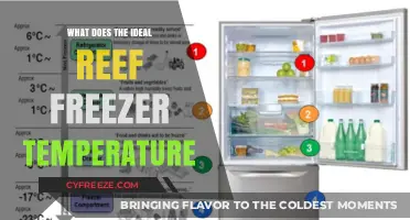 Optimal Reef Freezer Temperature: Key to Healthy Coral and Marine Life