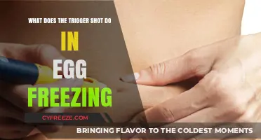 Unlocking the Potential: How the Trigger Shot Boosts Egg Freezing Success