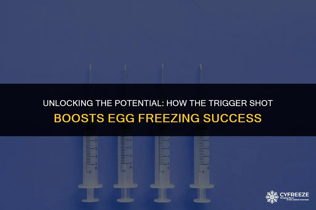 what does the trigger shot do in egg freezing