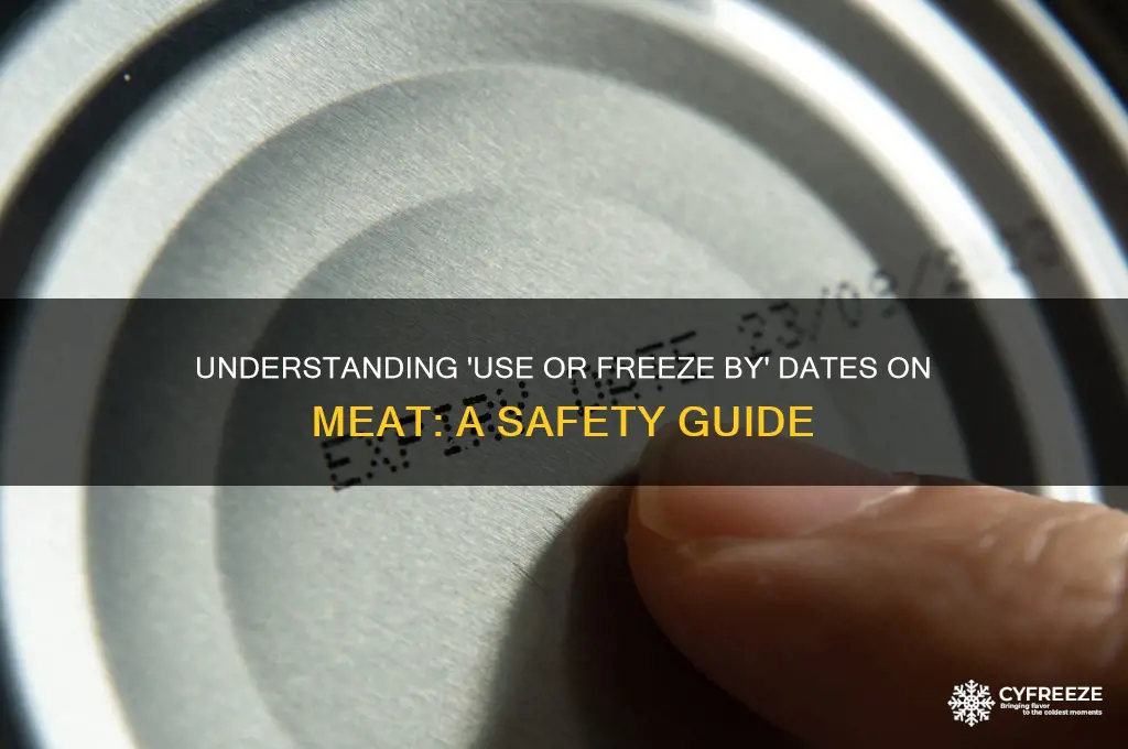 what does use or freeze by date mean on meat