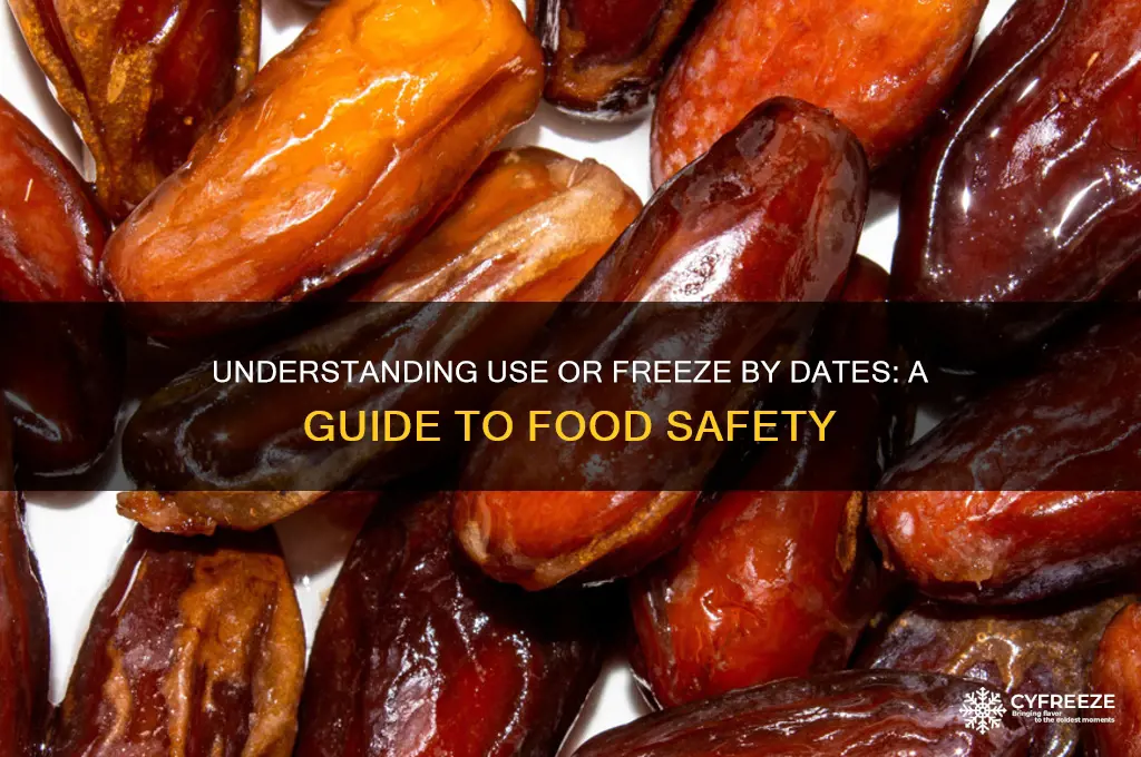 what does use or freeze by date mean