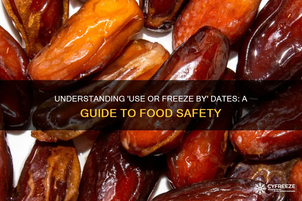 what does use or freeze by mean