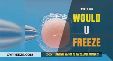 Which Eggs Would You Freeze? A Guide to Egg Selection for Cryopreservation