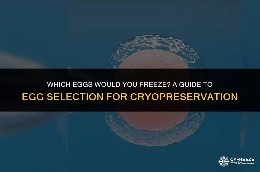 what eggs would u freeze