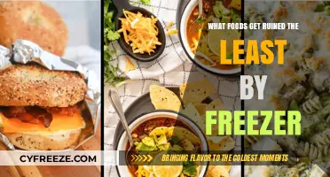Freezer-Friendly Foods: Top Picks That Stay Fresh Longest