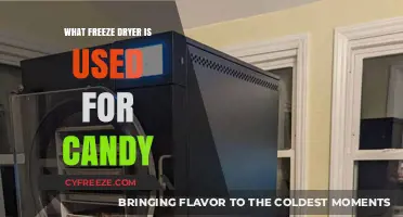 How Freeze Dryers Transform Candy: Benefits, Process, and Top Machines