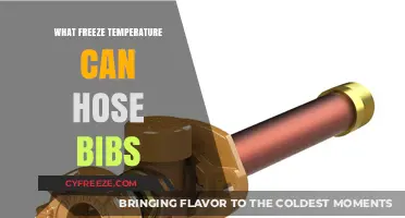 How Cold is Too Cold? Freeze Temperatures and Hose Bib Safety