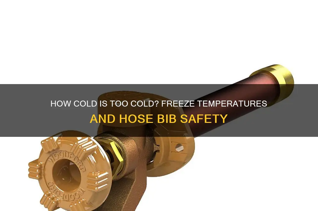 what freeze temperature can hose bibs