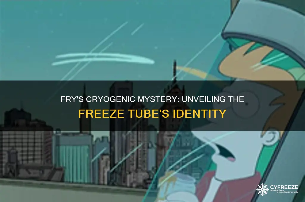 what freeze tube did fry get