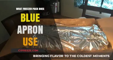 Blue Apron's Freezer Pack: Sustainable, Effective, and Eco-Friendly Solution