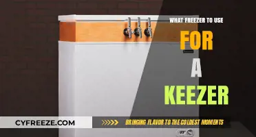 Best Freezer Options for Building Your Perfect Keezer Setup