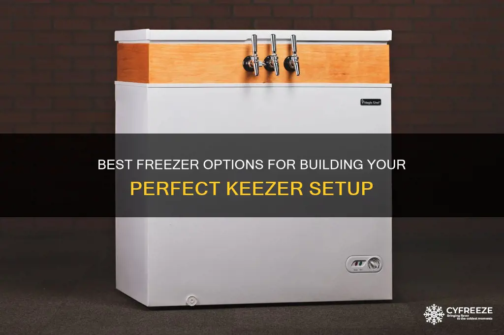 what freezer to use for a keezer