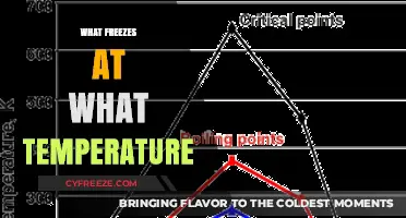 Freezing Points Explained: What Substances Freeze at What Temperatures