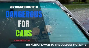 Dangerous Cold: When Freezing Temperatures Threaten Your Car's Performance