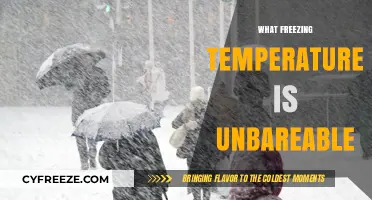 Unbearable Cold: Exploring the Freezing Temperatures Humans Can't Endure
