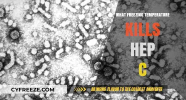 Freezing Temperatures and Hepatitis C: What Kills the Virus?