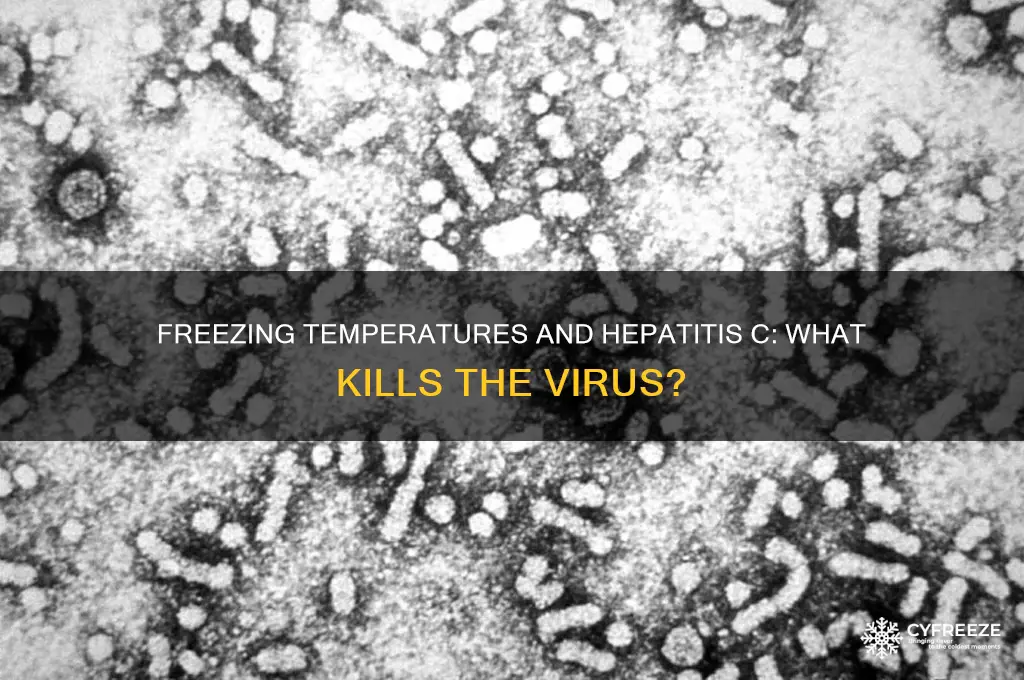 what freezing temperature kills hep c