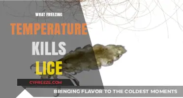 Freezing Lice: Discover the Temperature to Kill Them Effectively