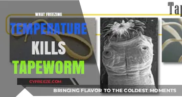 Freezing Temperatures to Kill Tapeworms: Effective Cold Treatment Guide