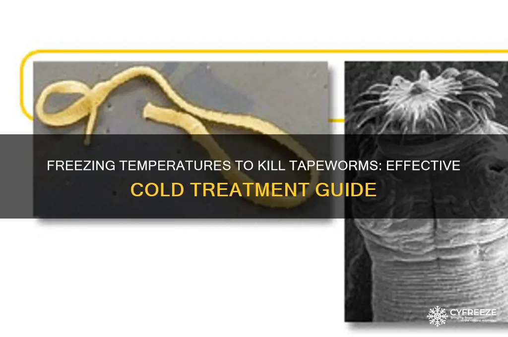 what freezing temperature kills tapeworm